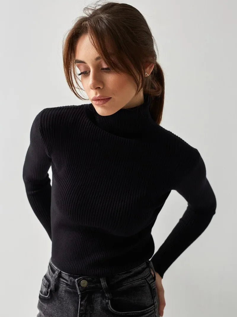 Basic Turtleneck Sweater